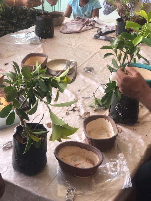Bonsai workshop table