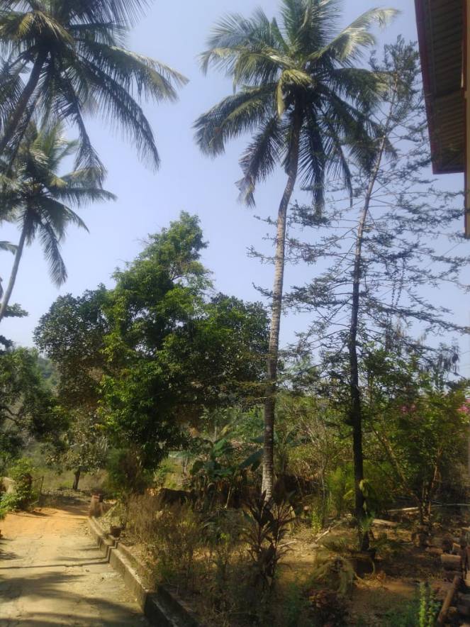 WhatsApp Image 2020-02-21 at 11.59.06 AM